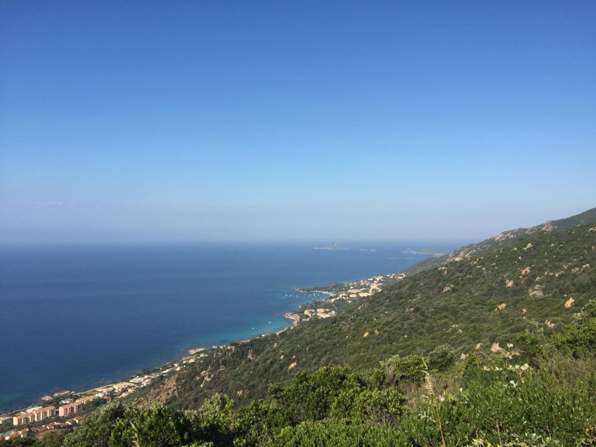 Ajaccio Magnifique T2 45M2 Neuf 5 Personnes Clim Wifi Stationnement Gratuit Centre Ville Plage A 300M ภายนอก รูปภาพ